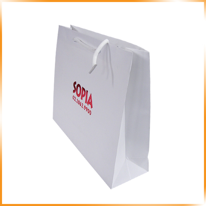 기성2호(소피아)