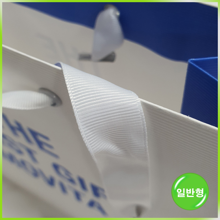 특수지 쇼핑백(모비타)