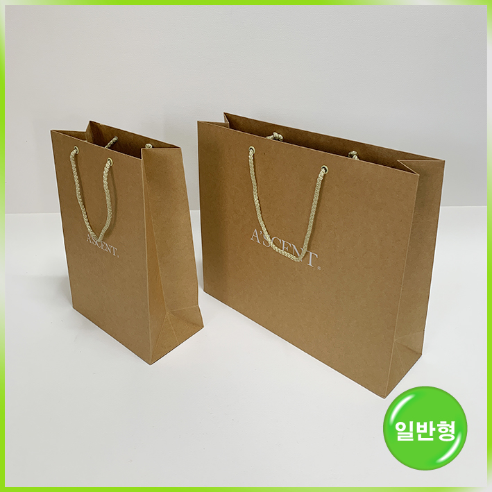 일반형 쇼핑백(에이센트中)