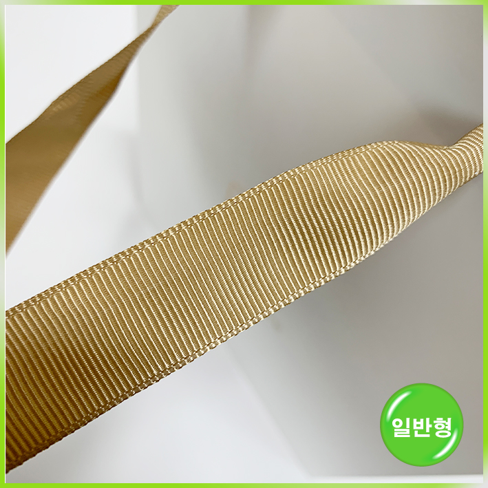 일반형 쇼핑백(힐하우스 피부과)