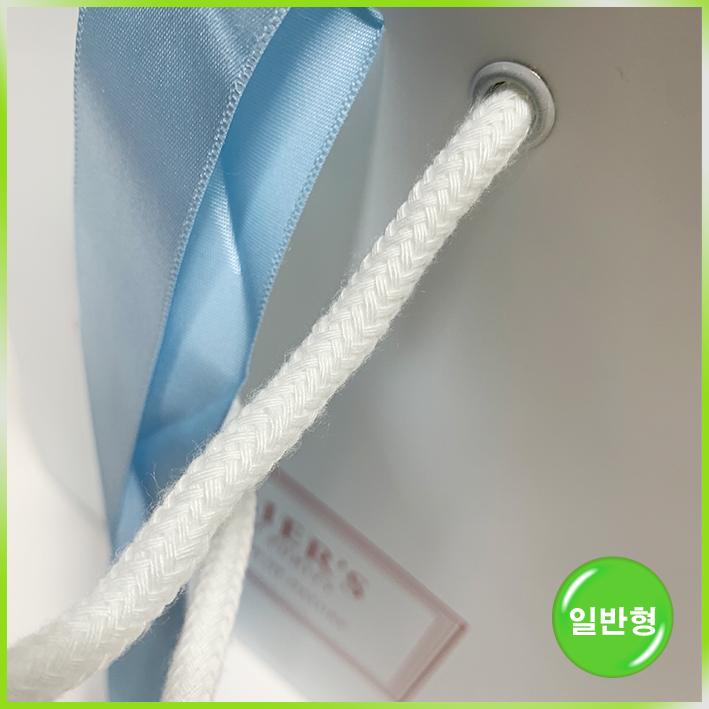 일반형 쇼핑백(프리미어스티 小)