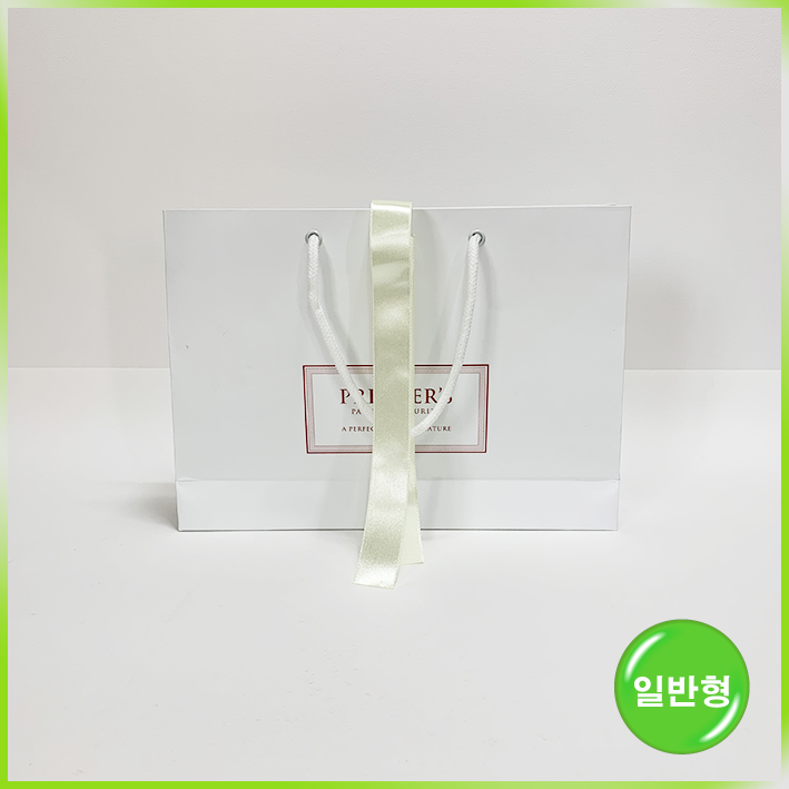 일반형 쇼핑백(프리미어스티 大)