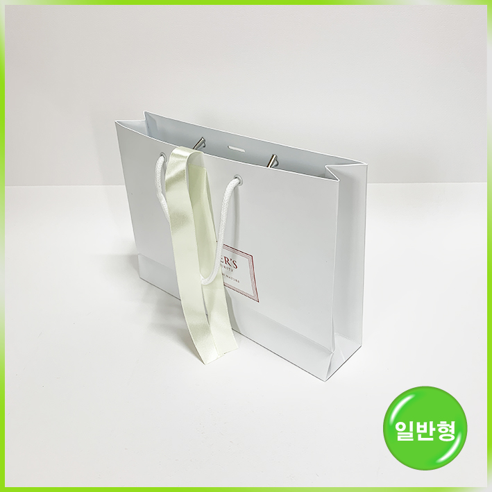 일반형 쇼핑백(프리미어스티 大)