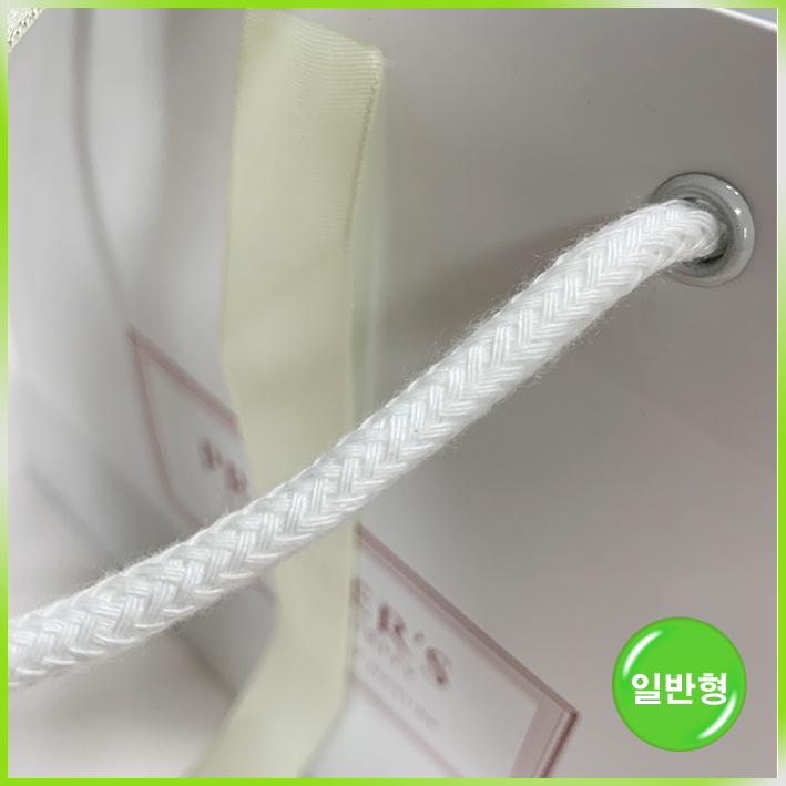 일반형 쇼핑백(프리미어스티 大)