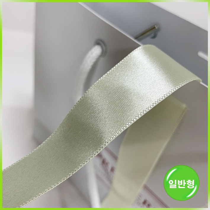 일반형 쇼핑백(프리미어스티 大)