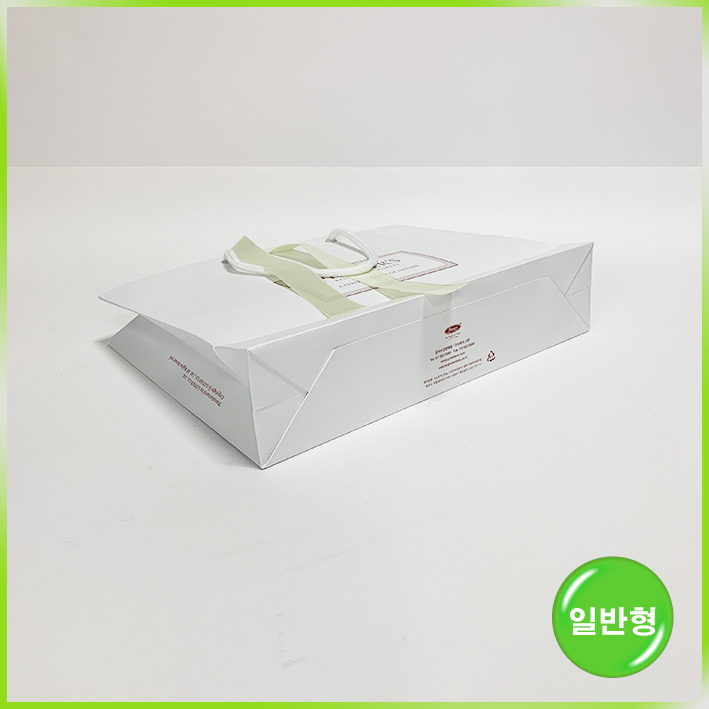 일반형 쇼핑백(프리미어스티 大)