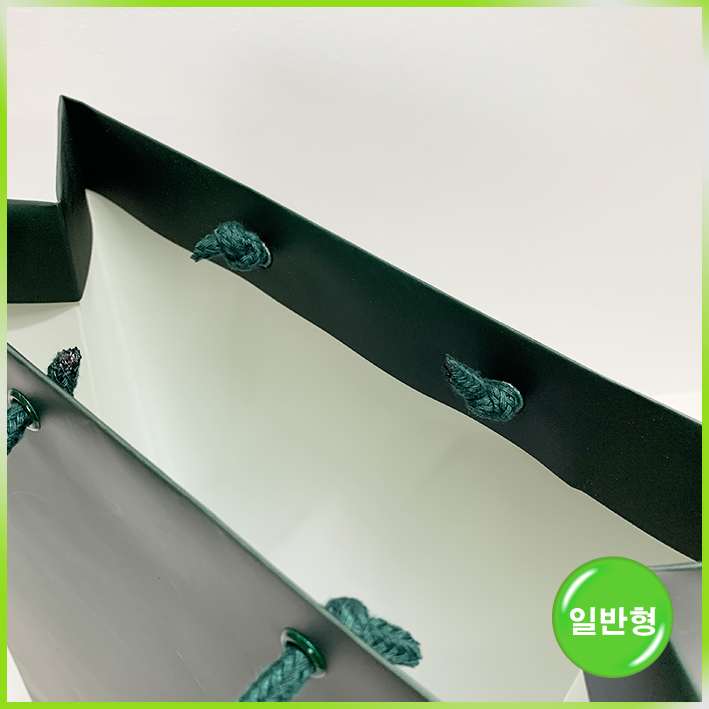 일반형 쇼핑백(하얏트 델리 일반大)