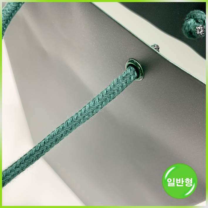 일반형 쇼핑백(하얏트 델리 일반中)