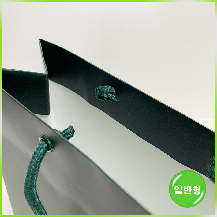 일반형 쇼핑백(하얏트 델리 일반中)