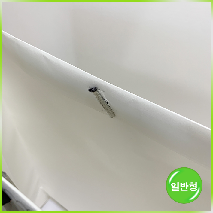 일반형 쇼핑백(루이독 中)