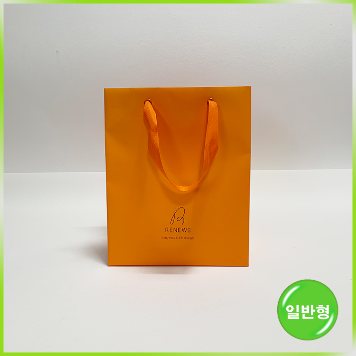일반형 쇼핑백(리뉴식스)