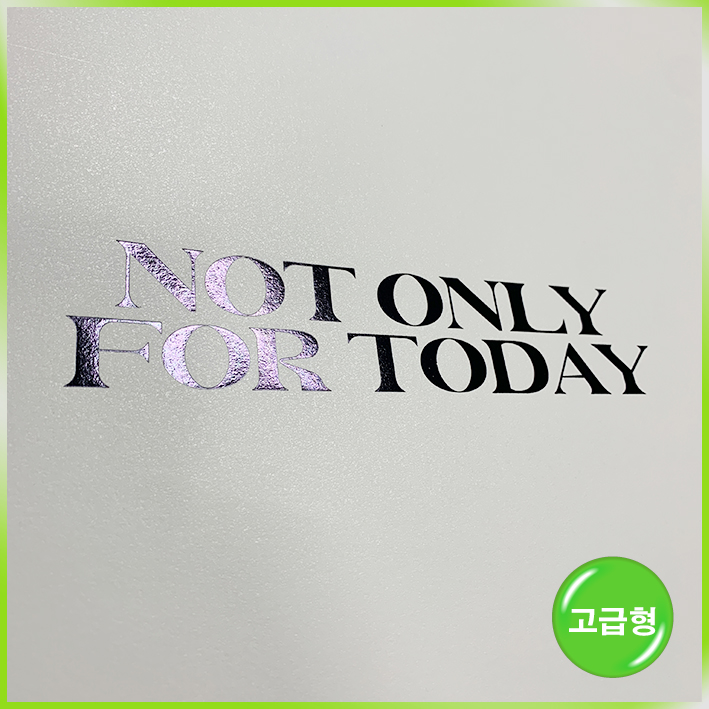 매립형 쇼핑백(낫온리포투데이)