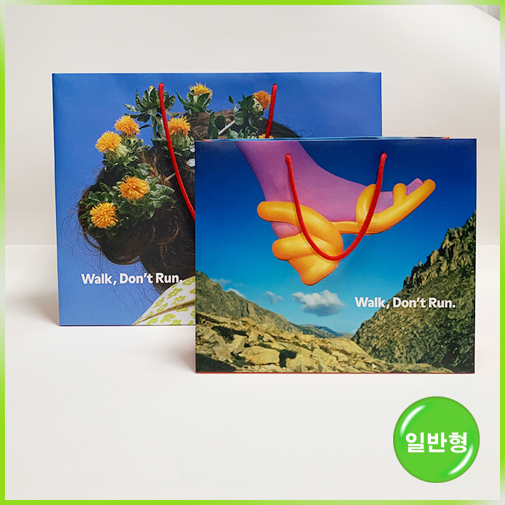 일반형 쇼핑백(캠퍼 中)