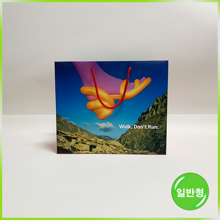 일반형 쇼핑백(캠퍼 中)