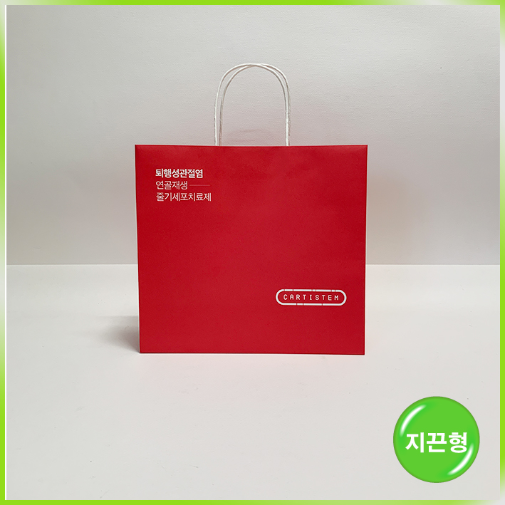 지끈형 쇼핑백(카티스템)