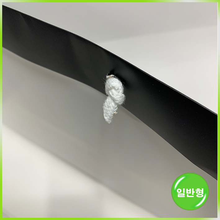 일반형 쇼핑백(르세라핌(특대))