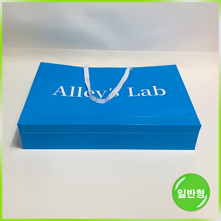 일반형 쇼핑백(앨리스랩(특대))